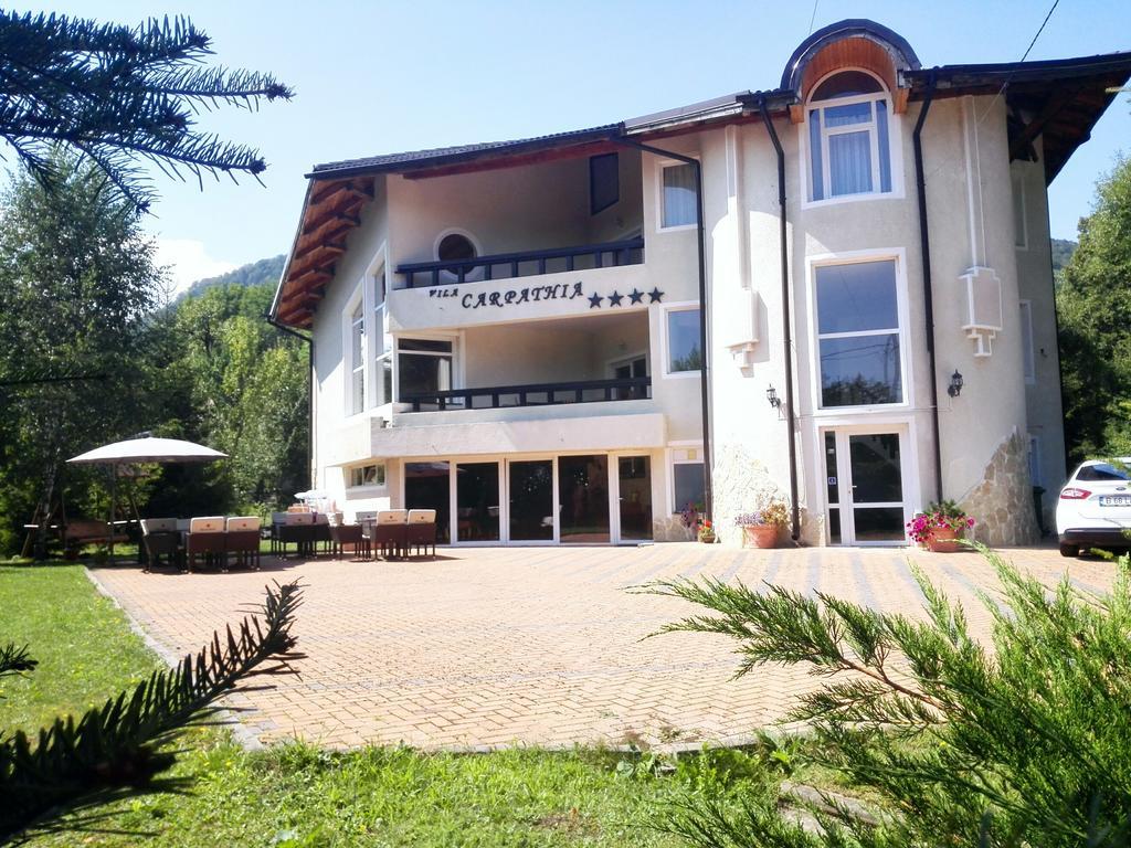 Vila Carpathia Bran  Ngoại thất bức ảnh