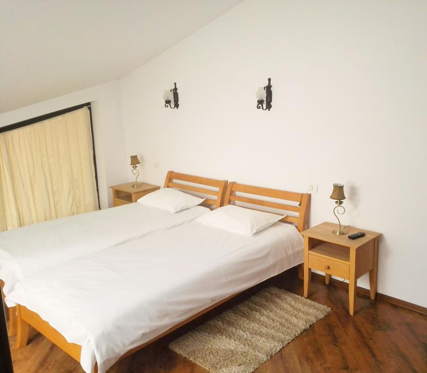 Vila Carpathia Bran  Ngoại thất bức ảnh